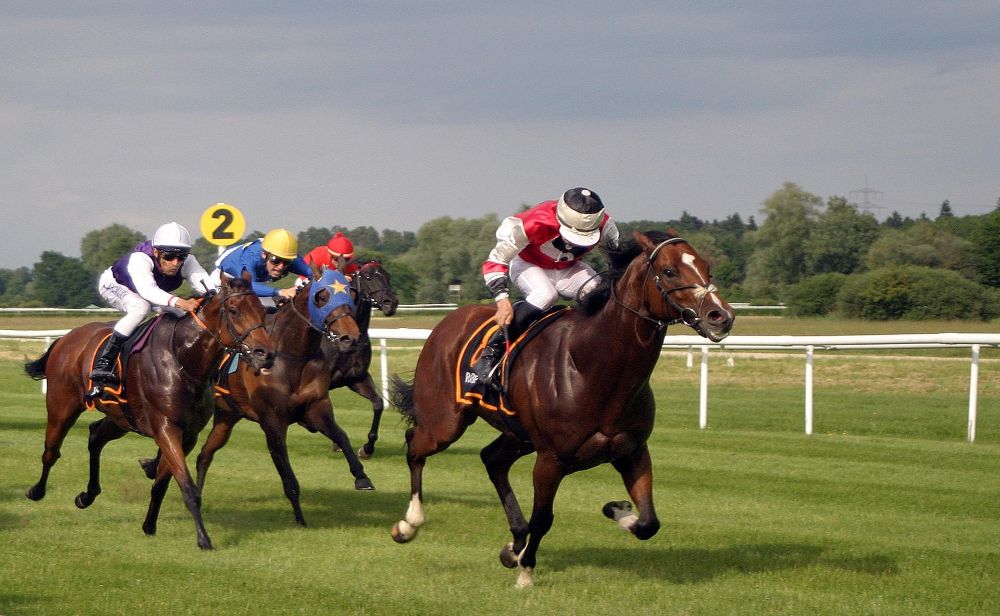 Horse Racing Free Bets
