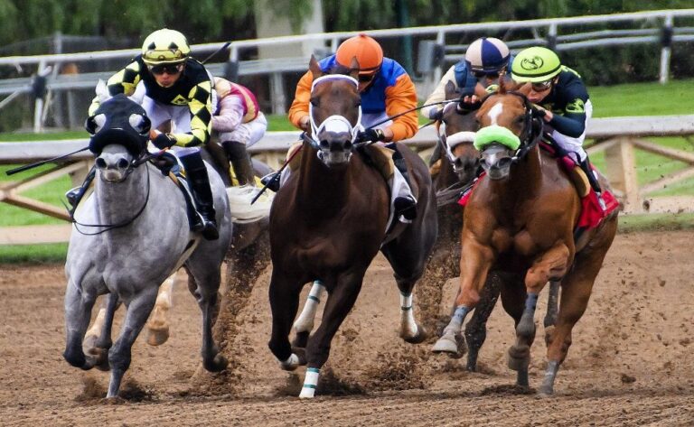 A Comprehensive Guide to Betting on Horse Races