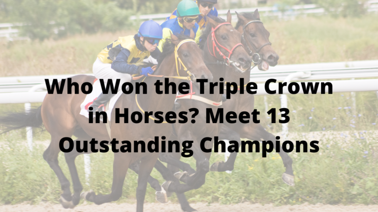 Who Won the Triple Crown in Horses? Meet 13 Outstanding Champions
