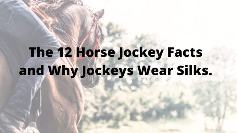 The 12 Horse Jockey Facts and Why Jockeys Wear Silks.