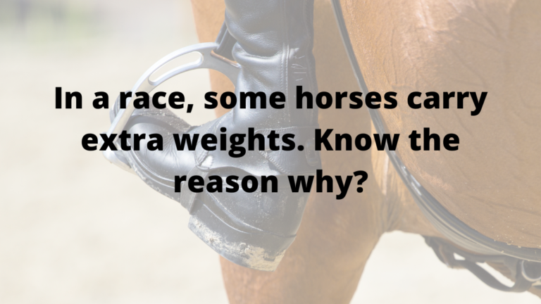 In a race, some horses carry extra weights. Know the reason why?
