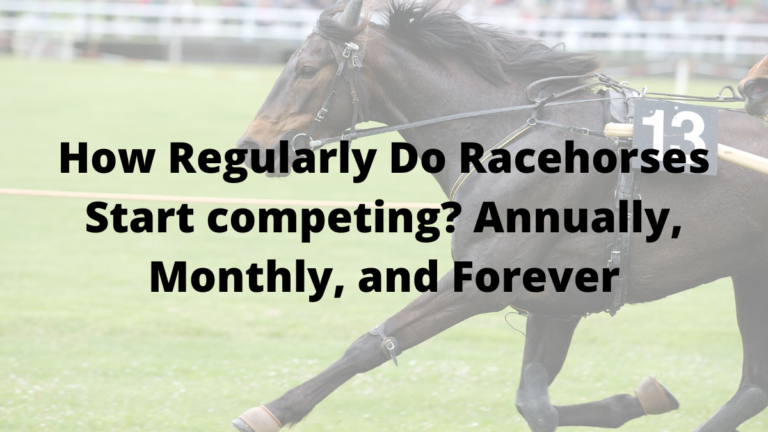 How Regularly Do Racehorses Start competing? Annually, Monthly, and Forever